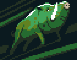 Boar