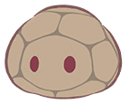 Terralime