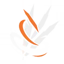 Ruinous Whirl
