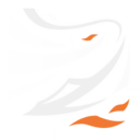 Shadow Snare