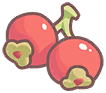 Berry
