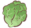 Lettuce