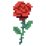 Red Rose