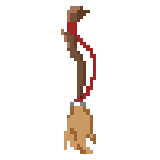 Witch Broom